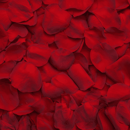 Scented Silk Artificial Rose Petals