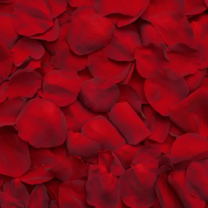 Scented Silk Artificial Rose Petals