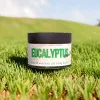 Whipped Avocado Oil Body Butter